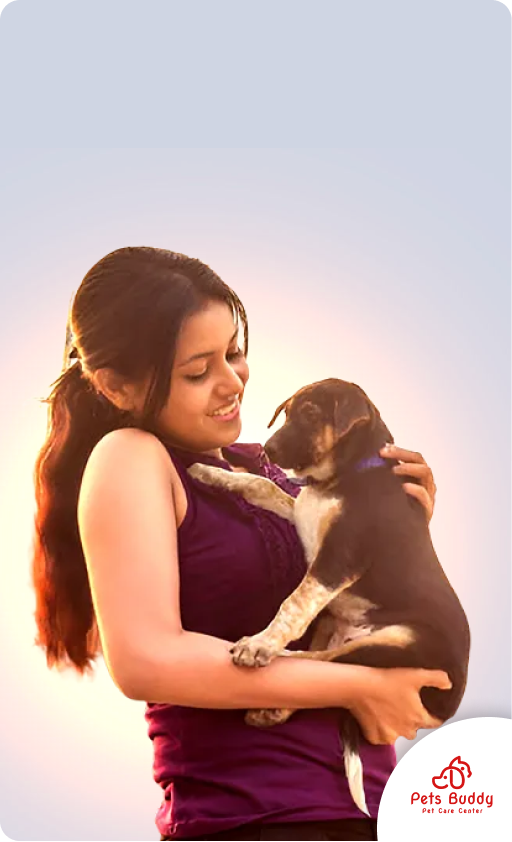 Pets Buddy
