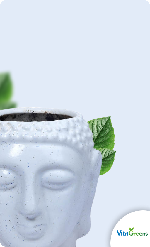Vitri Greens